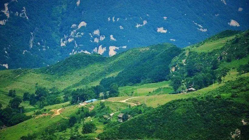 秦岭十二印象丨流峪高山草甸5月24日丨距离西安最近的高山牧场深闺中