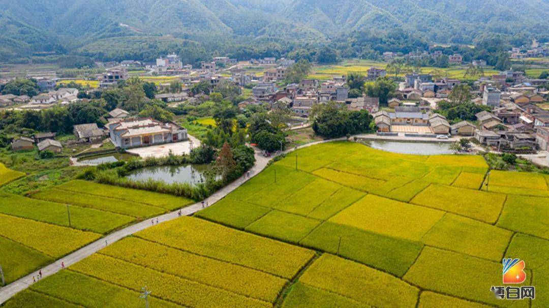 博白县革命老区庆祝建国70周年老区新貌摄影大赛作品展