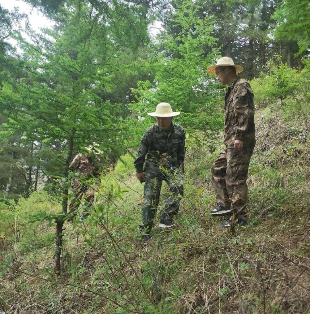 沙湾镇积扎实开展禁毒搜山踏查,坚决铲除毒品滋生土壤