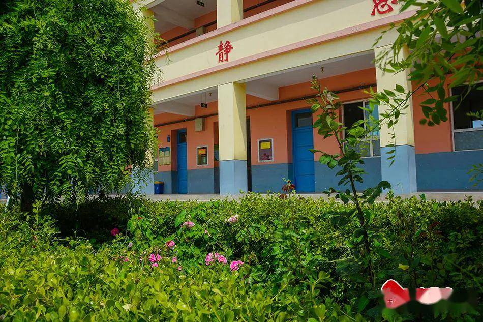 始建于1956年的杨场小学这次火遍甘谷人的朋友圈