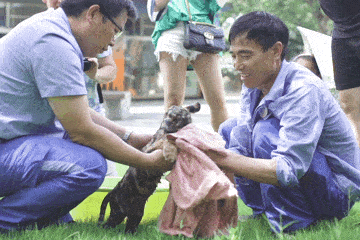 360_240gif 动态图 动图