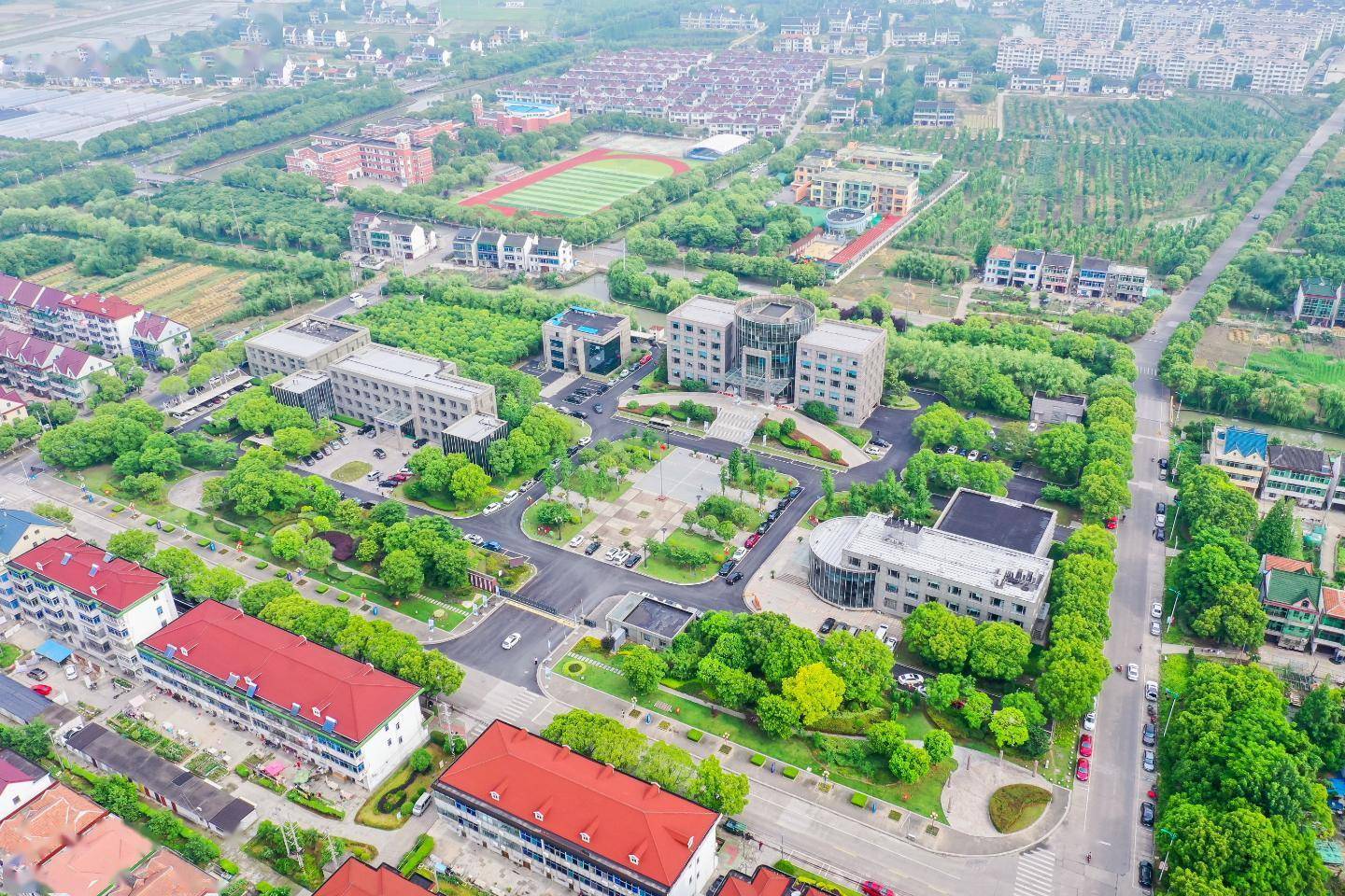 长三角田园五镇走出以农业振兴乡村的金路上海金山廊下镇联合沪浙毗邻