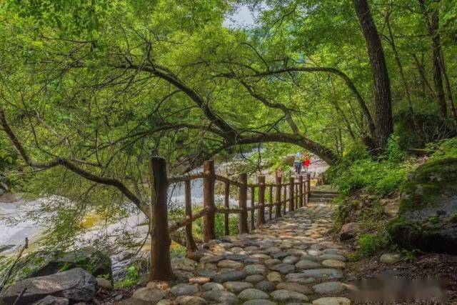 漢中有個沙窩村,田園風光無限好_佛坪縣