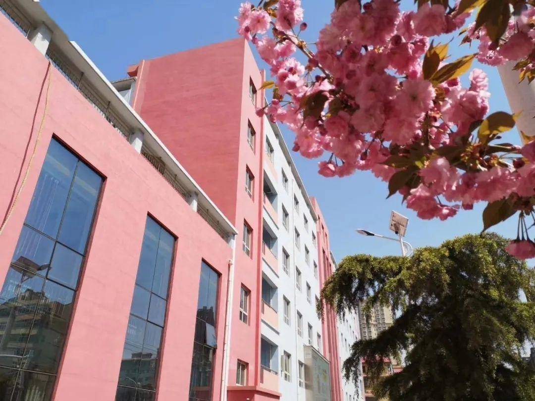 招生简章丨兰州市第五十五中学2020年高中招生计划