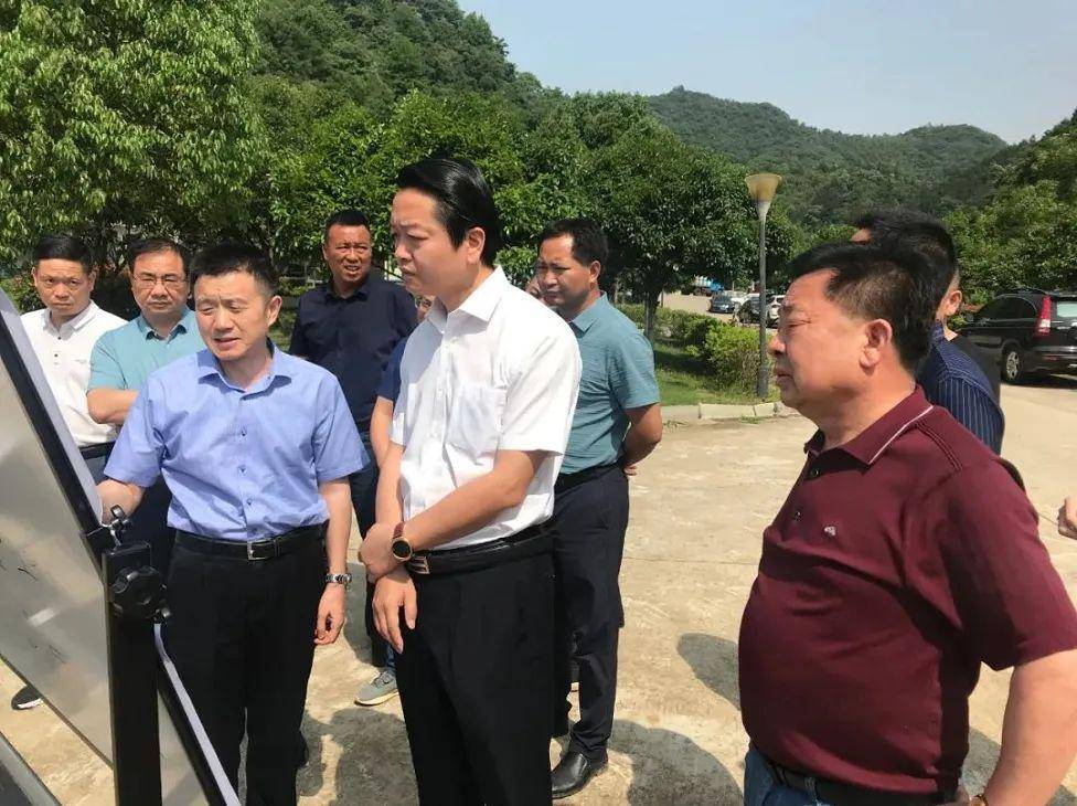 黄伟雄率队调研生活垃圾焚烧发电项目