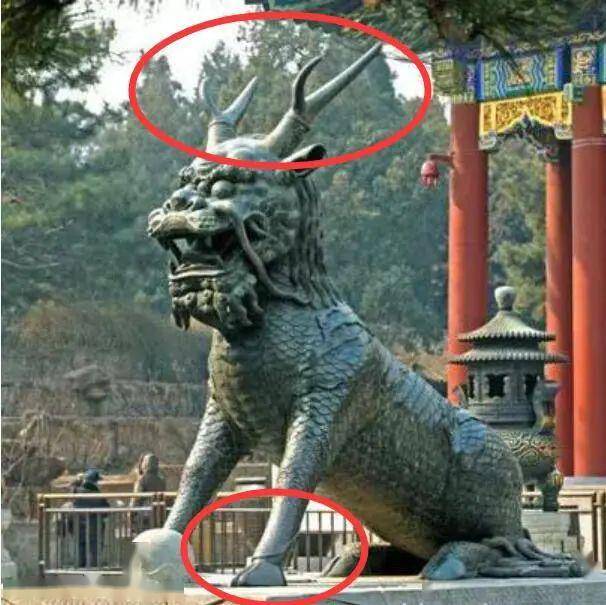 送子的"麒麟"你真的认识吗?