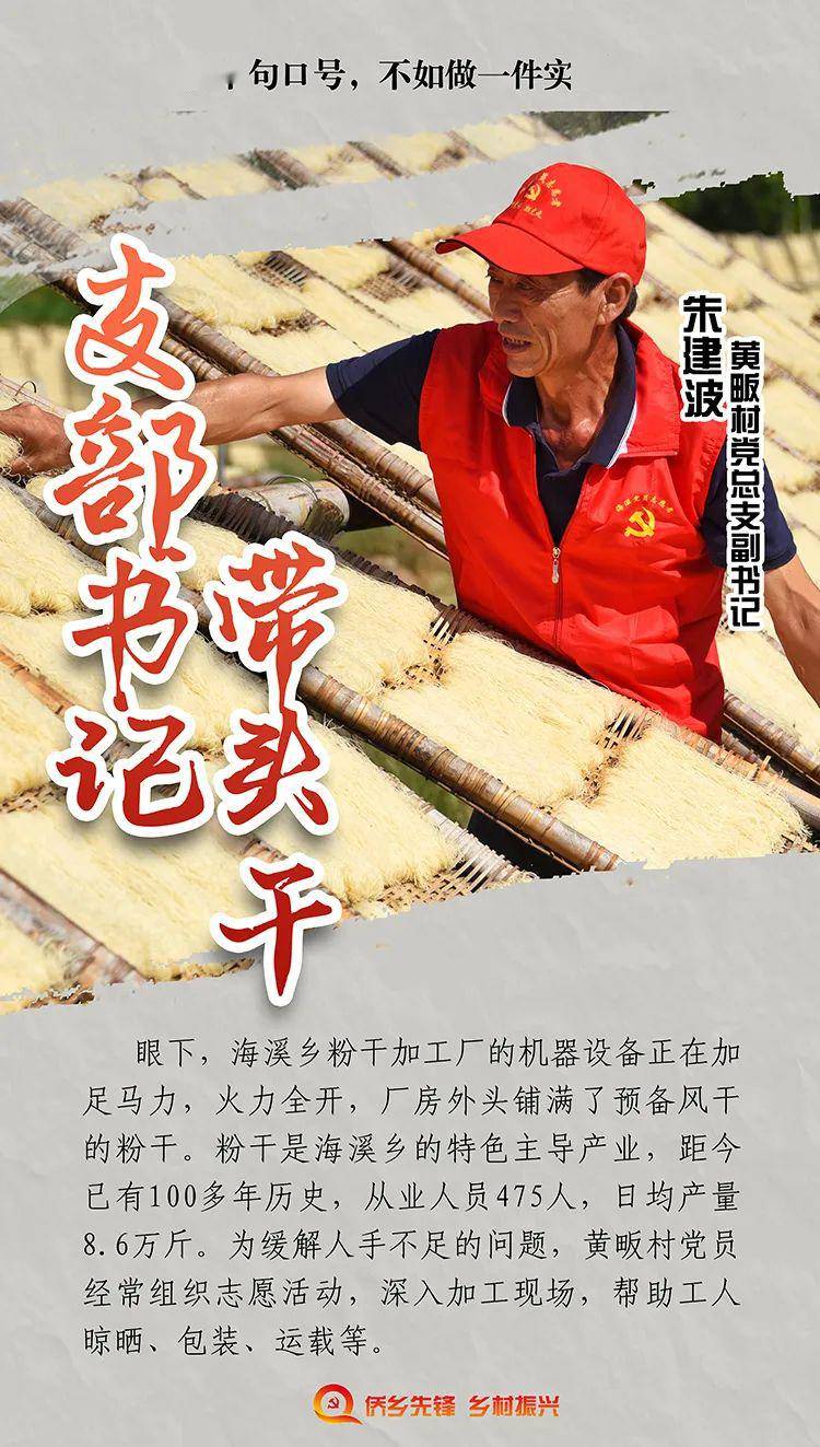 乡村振兴进行时支部书记带头干