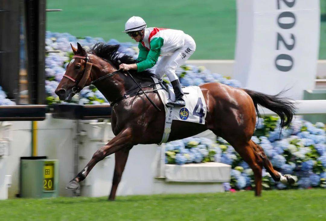 烽火台跳槽马与时间赛跑