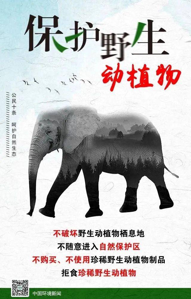 国际生物多样性日一起学习云南省生物多样性保护条例