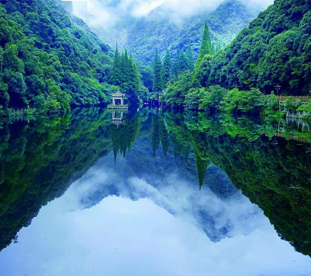 疫去花开,十年相约静城宁海