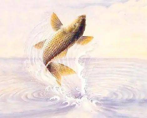 黄河文化丨鲤鱼跳龙门的传说