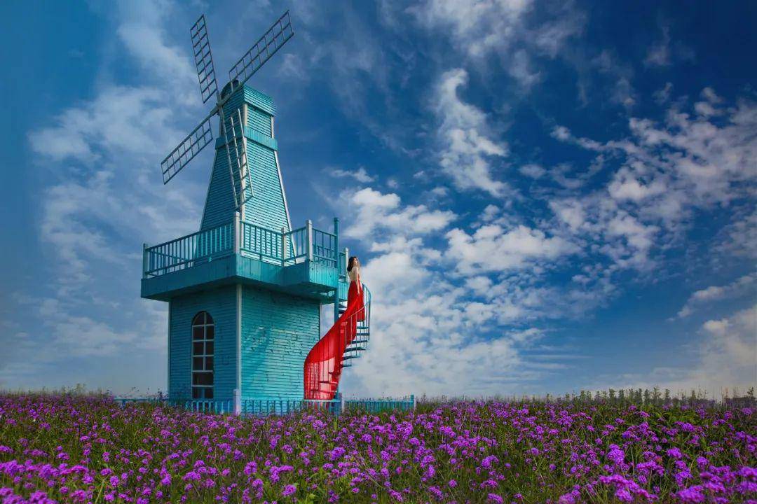 请注意伊甸园已经被紫色花海团团包围