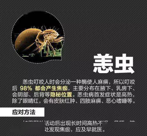 最近挖笋,踏青要注意,半个月福建已有多人被"放倒"!