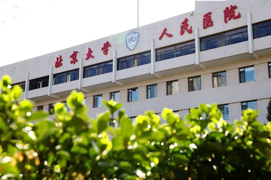 包含北京大学人民医院代挂号跑腿服务，不成功不收费的词条