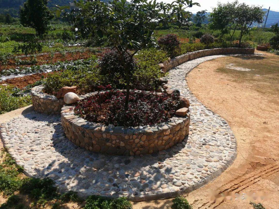 新宁这个村太美了家家户户有花园庭院城里人看了都羡慕