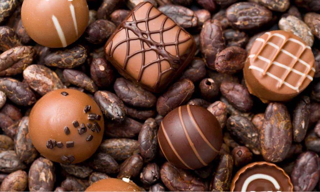 巧克力由可可豆加工而成,含有多种甲基黄嘌呤的衍生物,咖啡因和可可碱