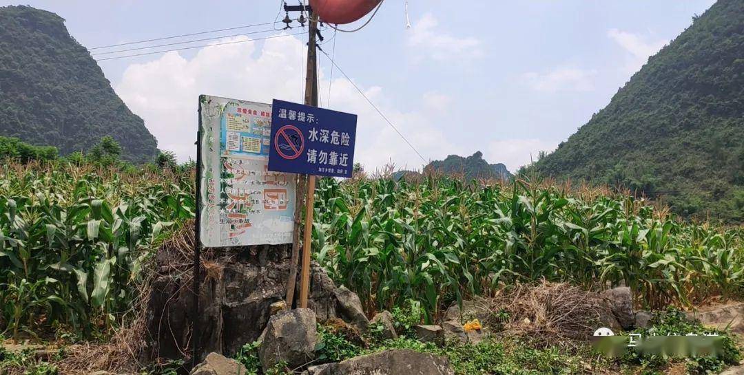 马山县已经排查出,全县范围内有河流,水库,湖泊,鱼塘,野塘,渡口,码头