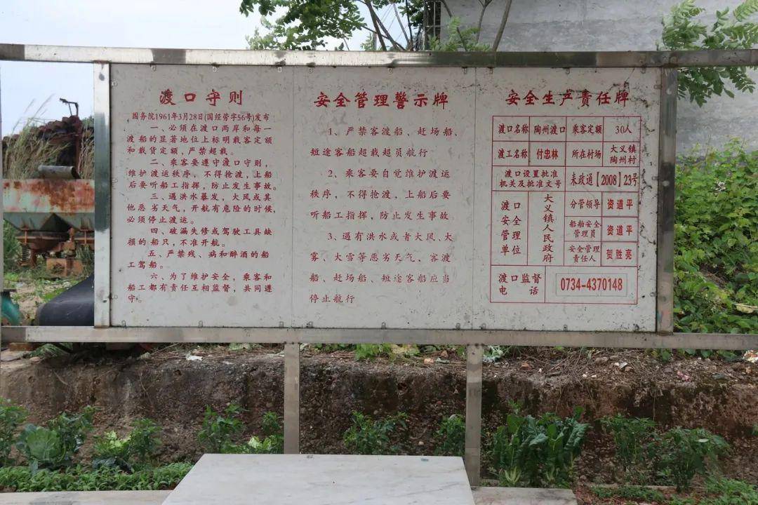 耒水第一渡口陶洲渡口往事如烟