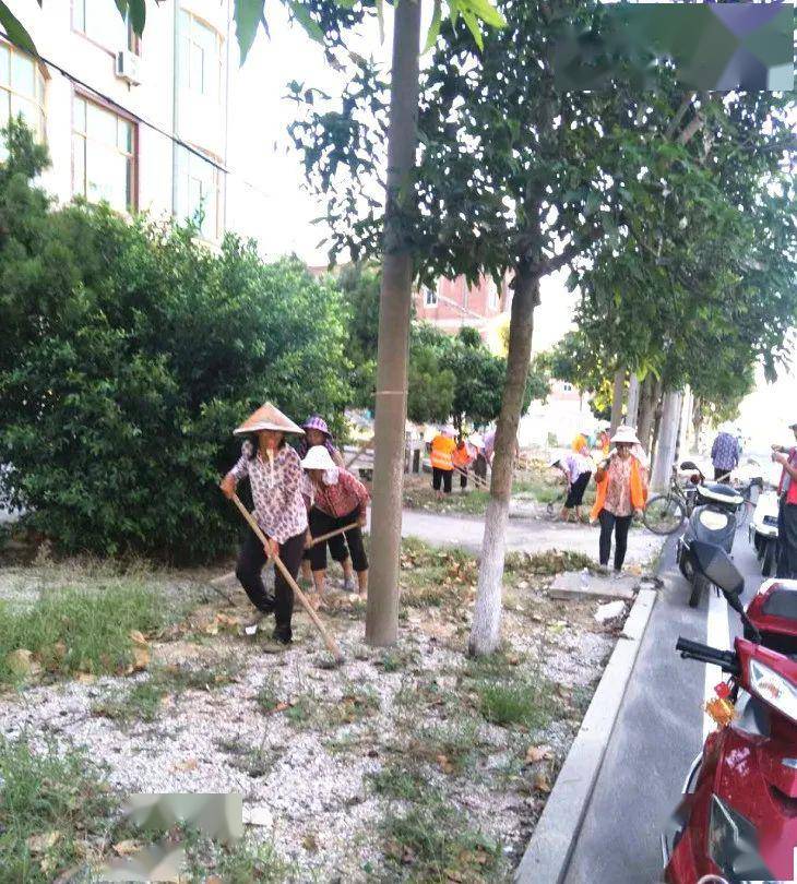 忠门镇柳厝村整治脏乱促创城让乡村更美好