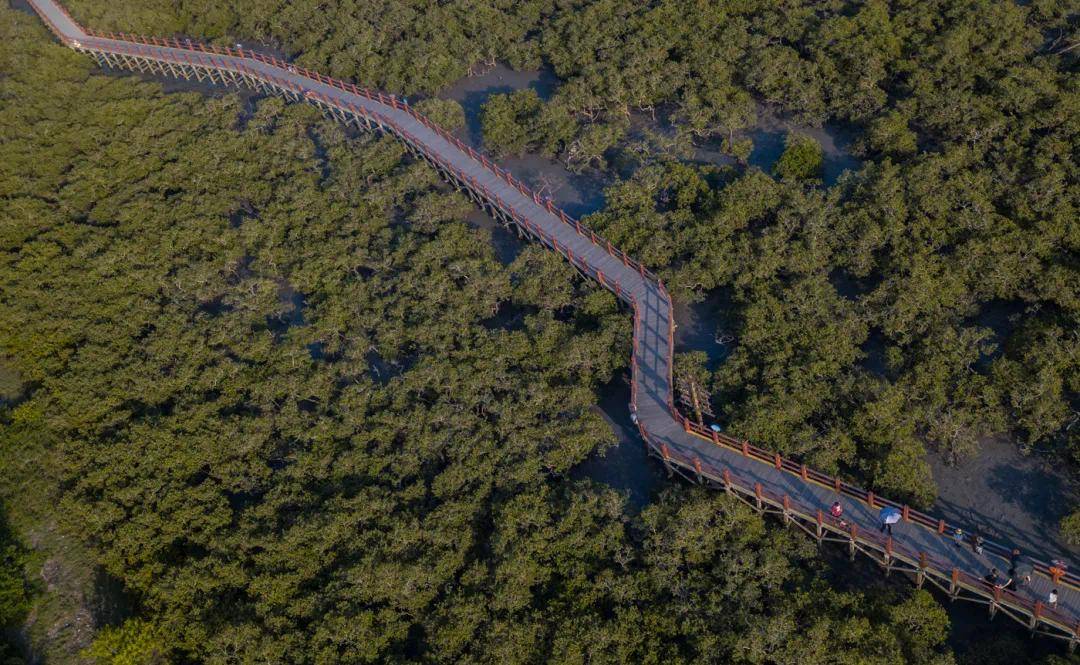 夏日畅游大美银海寻找诗和远方