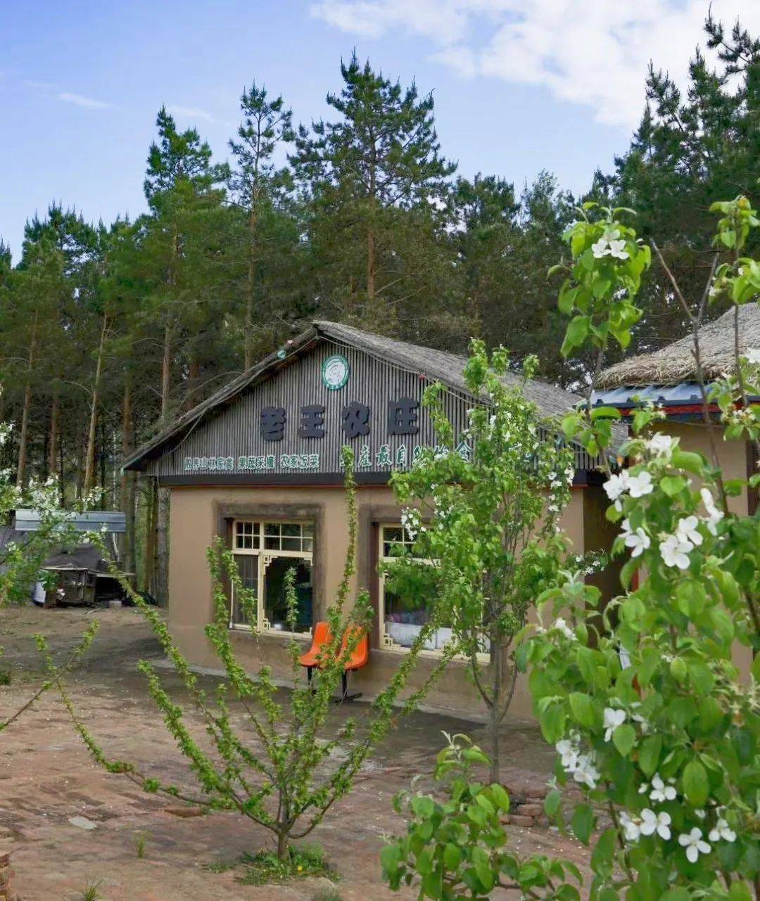 巾帼带货帮兰西县兰西镇林盛村十八湾山谷人家特色餐饮及农副产品来了