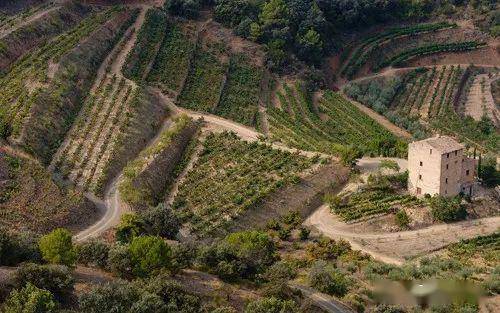 十大西班牙葡萄酒产区之7普里奥拉托priorat