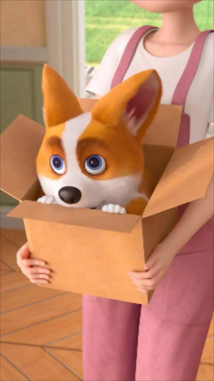 我的夏天是鸡腿味的