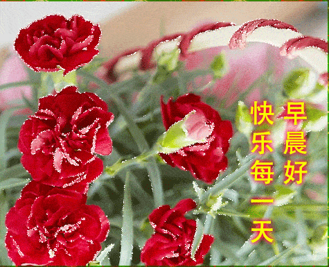 2020早上好表情动态图片带字和鲜花早上好问候祝福动态图片