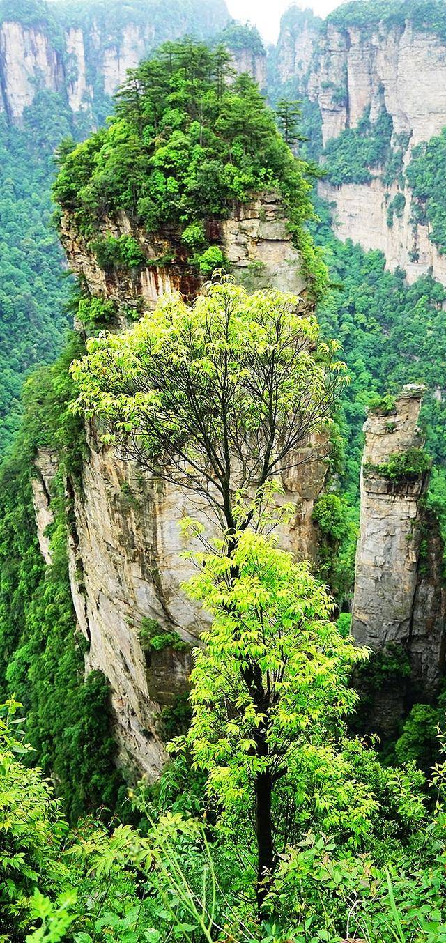 美丽的风景,全面屏壁纸,多姿多彩的大自然