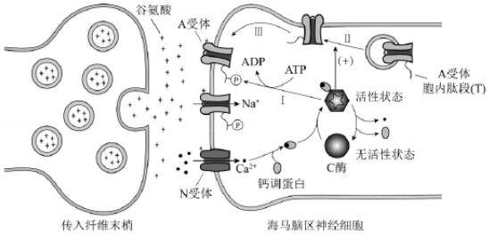 每日一题 → 综合大题 | 高考倒计时36天._受体