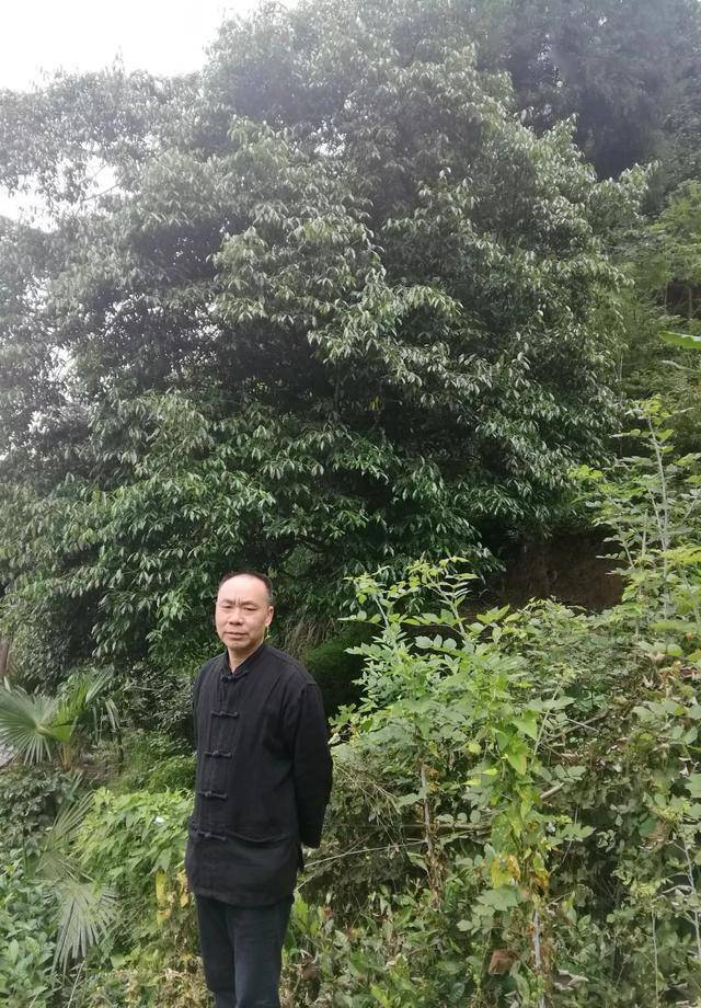 刘善人简介图片