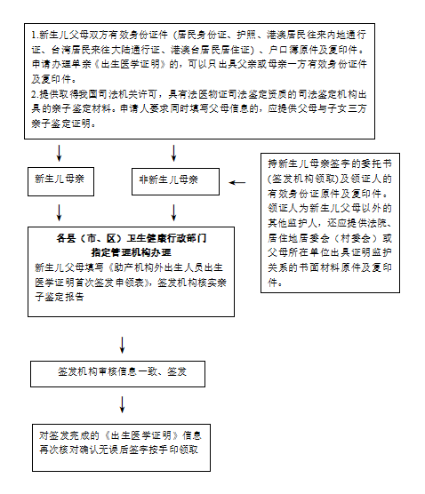 1996年1月1日以後在具有助產資質的醫療保健機構外出生的新生兒,包括