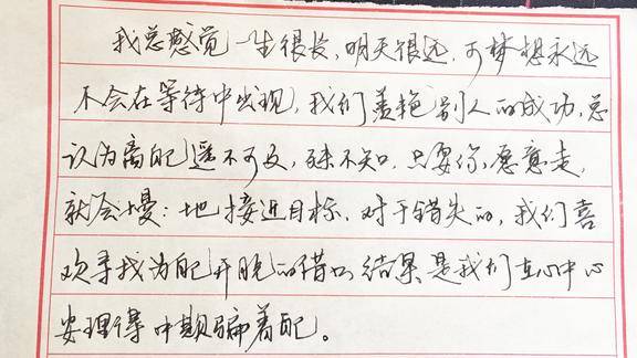 民间硬笔书法高手写行书一气呵成形神兼备工工整整着实好看