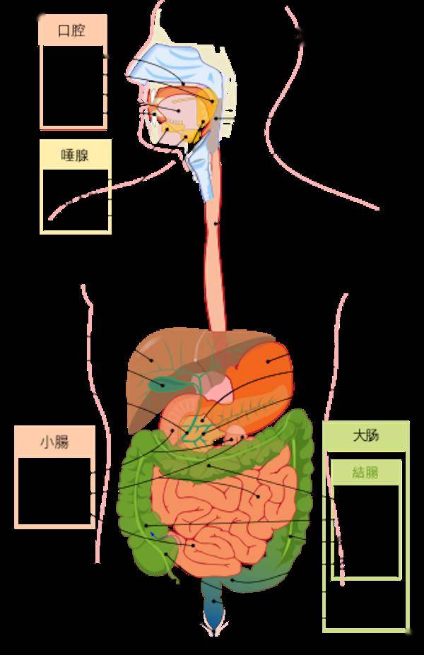哪有那么多孩子天生乳糖不耐受,多半是这些原因