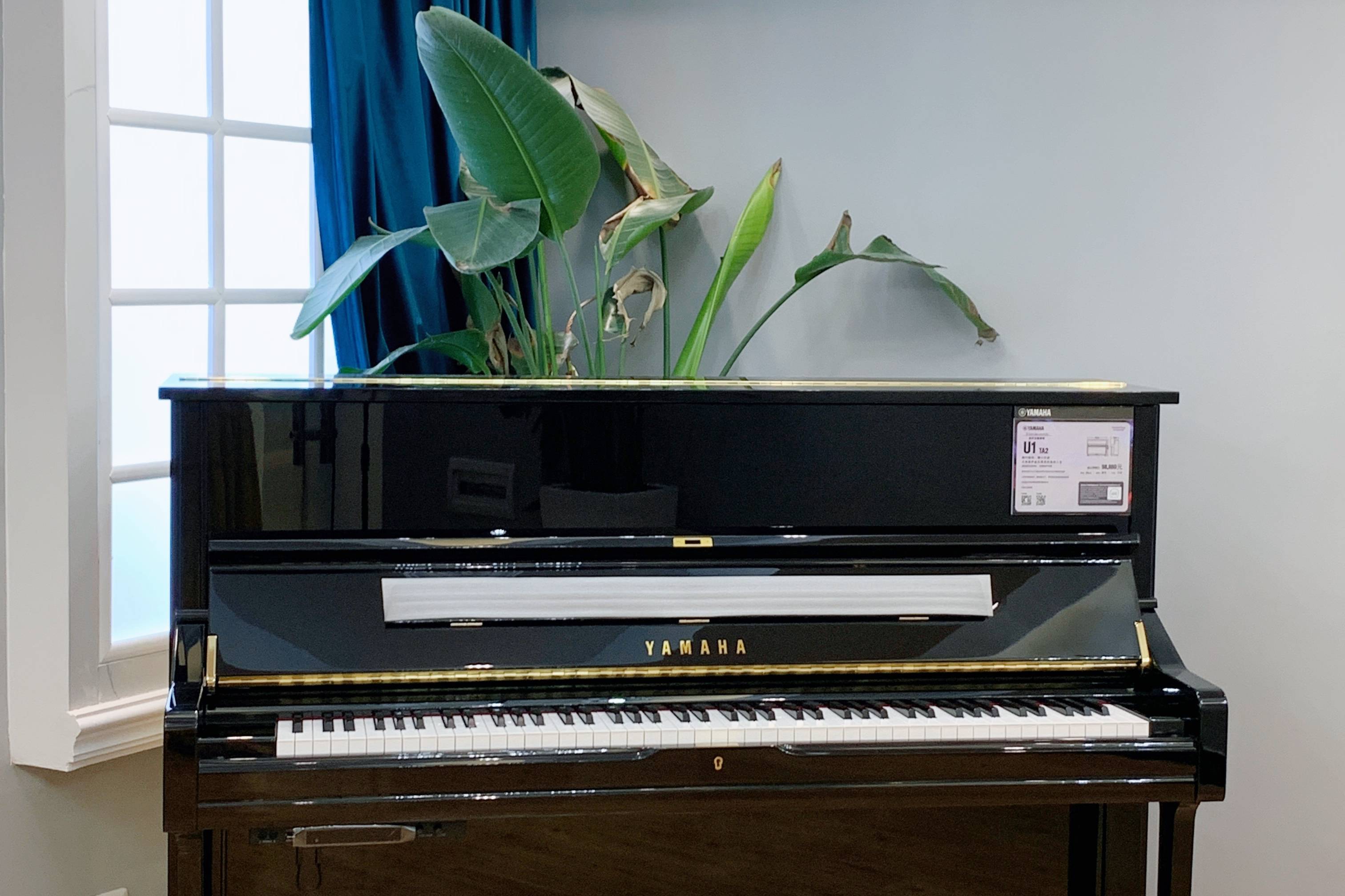 雅马哈跨界钢琴u1ta2