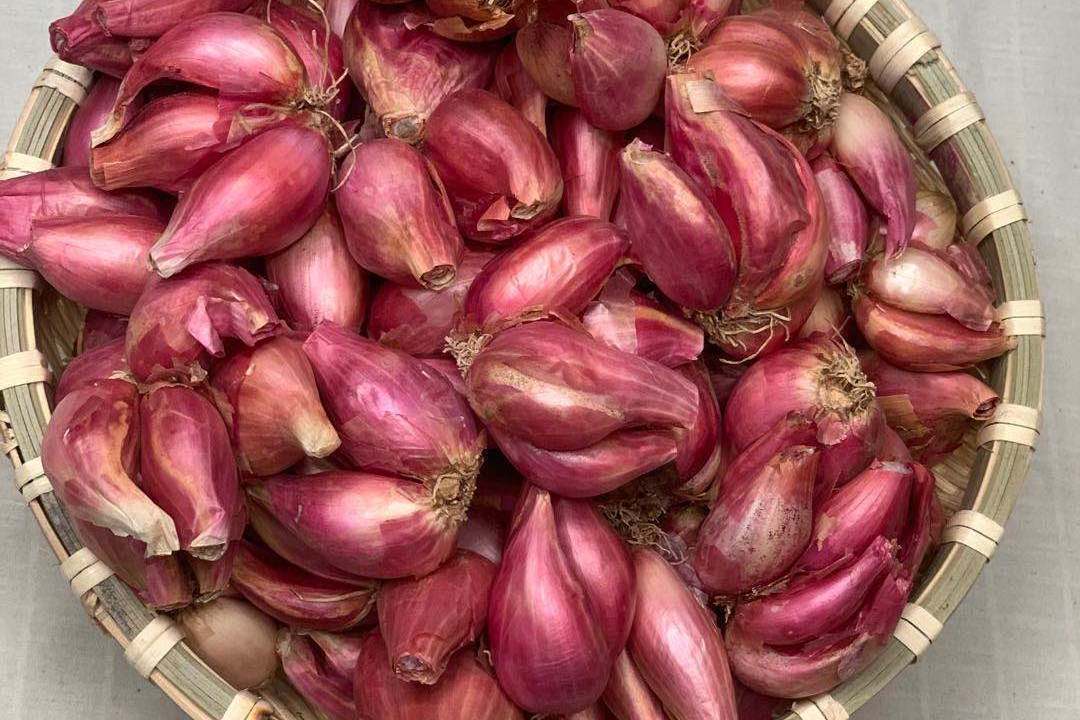 火葱一茬一茬地种就会不断有的吃