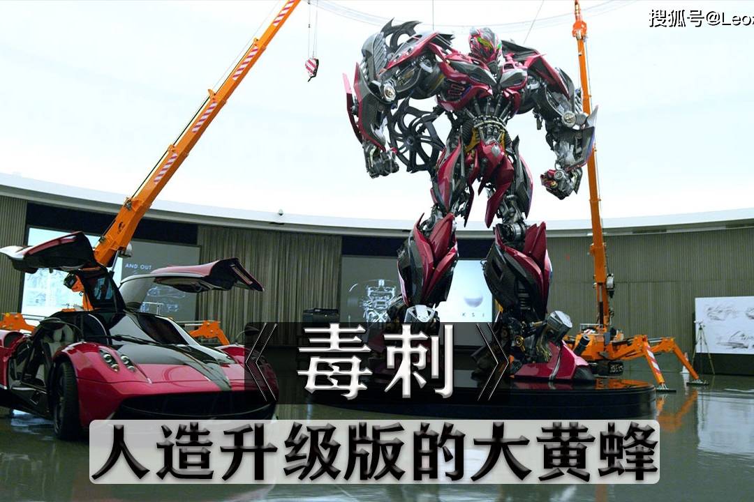 变形金刚系列之毒刺属于大黄蜂的加强版