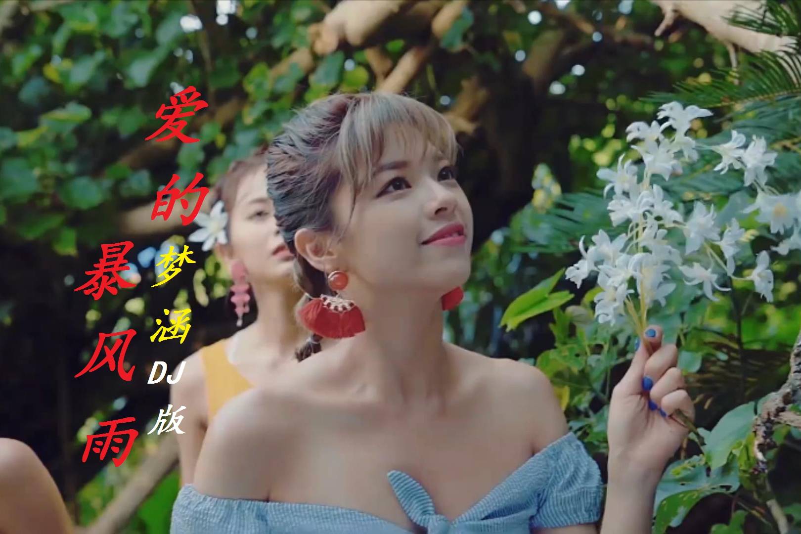 梦涵爱的暴风雨dj版节奏轻快悦耳动听今年很火的歌曲