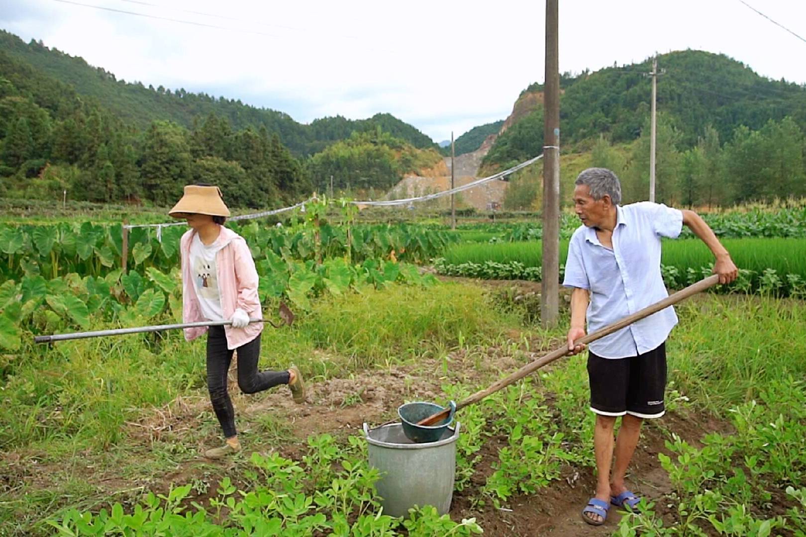 儿媳妇和农村公公地里干活公公接到一个电话急忙把儿媳赶回家