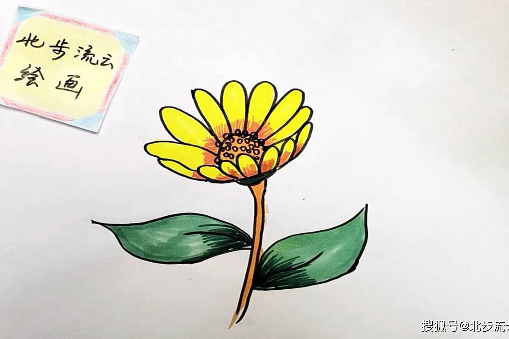 花朵简笔画孩子学习画画