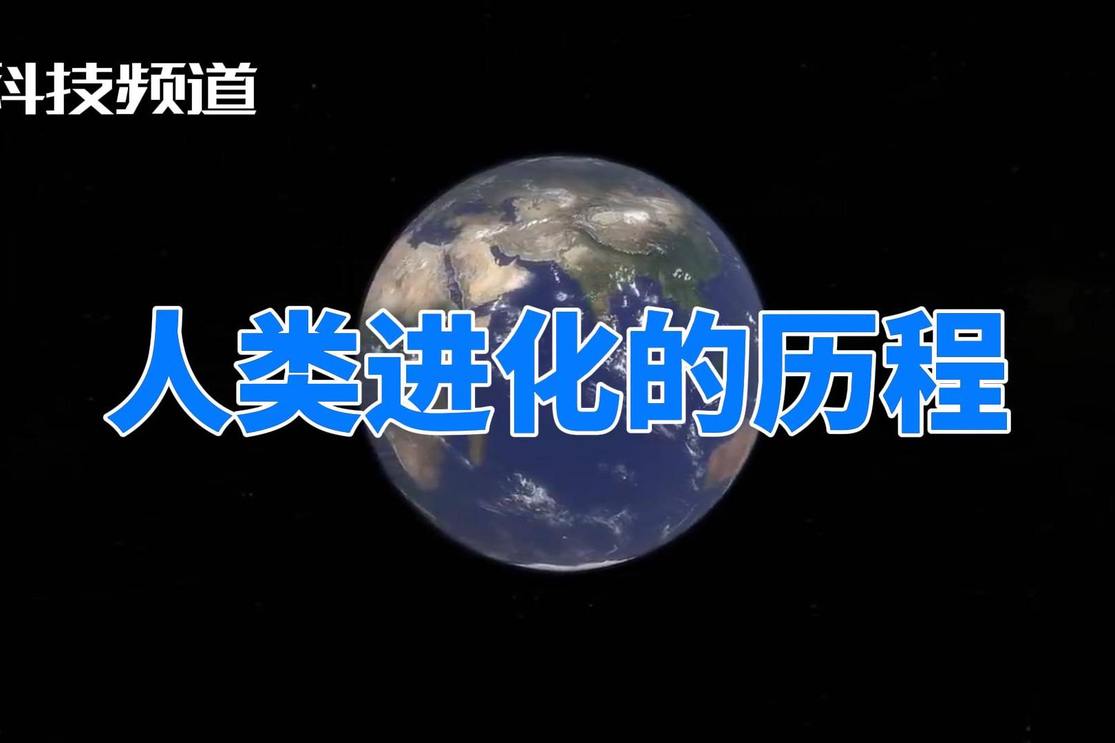 人类进化的历程
