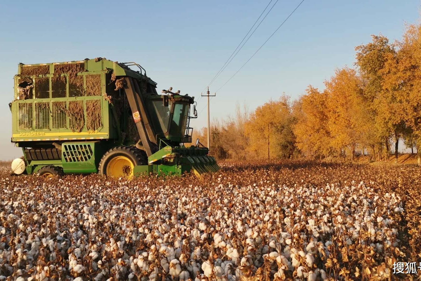 特瑞堡带您看新疆秋季作业棉花收获