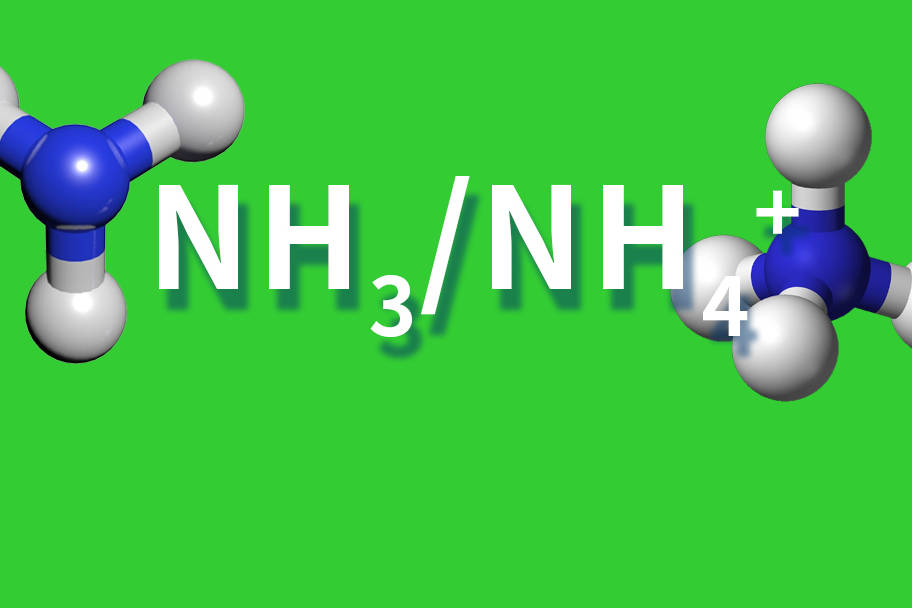 《癌症与离子分子05:nh3和nh4 》_离子_癌症_分子