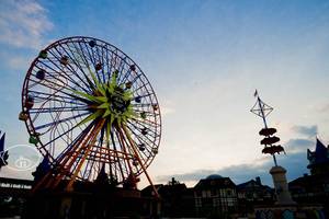 工匠精神为复兴坦洋工夫作贡献记福建元泰茶业公司董事总经理魏文生