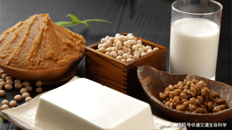 纳豆——日本国宝级食物，究竟有何神奇之处？