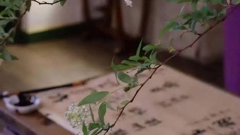 慢下来，静观内心