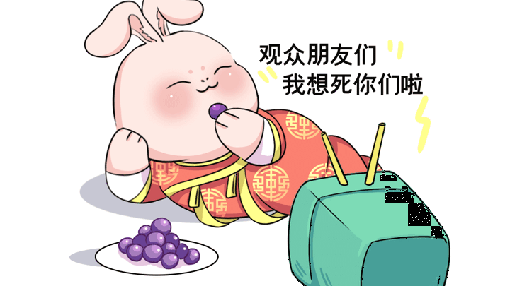 你看过各大卫视春晚吗？