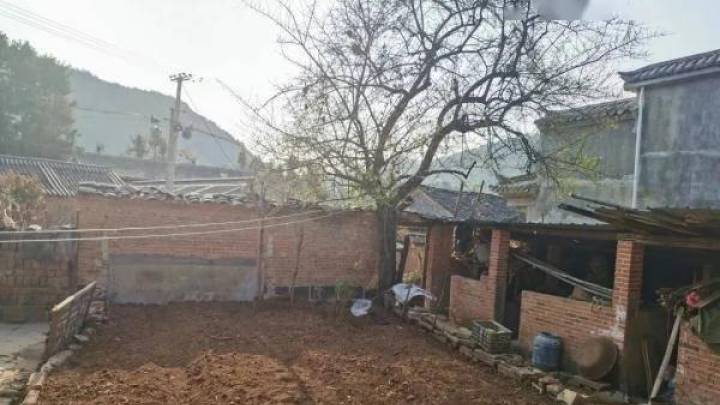 老人攒7万养老钱埋院内树下，是否应该掘地找回？