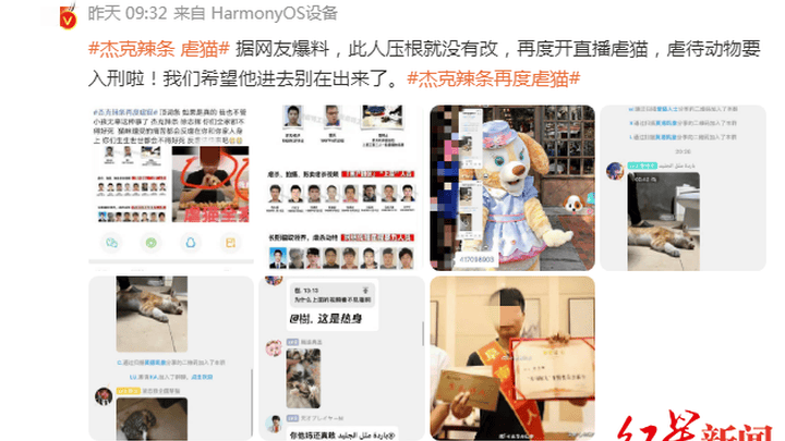 因处刑式虐猫，杰克辣条被取消阜南好人称号，你怎么看？