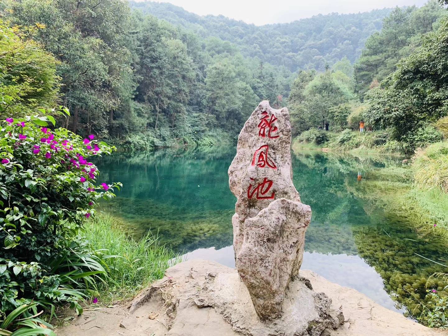 九凤山遇见民宿庄园